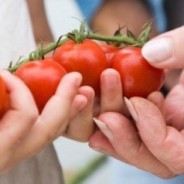 Growing up Green: Exploring Veganism with Your Child