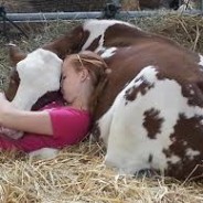 Instilling Compassion in Children