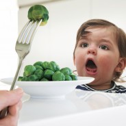 Nourishing Your Independent Toddler