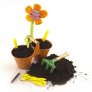 How Does Your Garden Grow?
