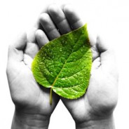 10 Reasons Why Going Vegan is Good For the Environment