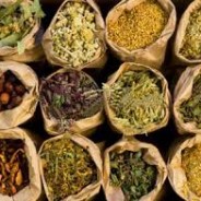 Healing Herbs for the Postpartum Period