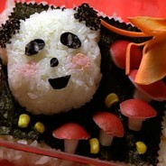 Obento: The Japanese Art of Box Lunches