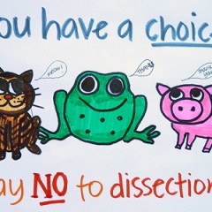 Humane Alternatives to Dissection