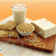 The Healing Power of Soy’s Isoflavones