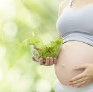 Courage and the Vegan Pregnacy