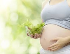 Courage and the Vegan Pregnacy