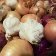 Can Garlic and Onions Help Prevent Cancer?