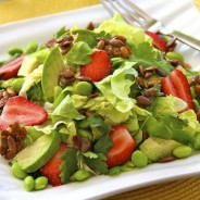 Healthy Salads