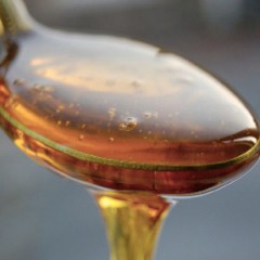 Agave Nectar During Pregnancy