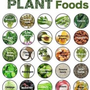 Dairy Free – What Are Good Vegan Sources of Calcium?