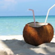 Coconut Power