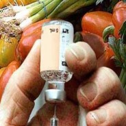 Vegan Diabetic Diet