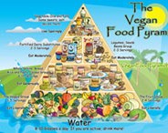 Teaching Good Eating to Children – A Lesson in Vegan Food Pyramid Building