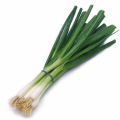 Green Onions and Scallions – Are They the Same?