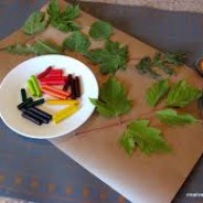 Leaf Rubbing Placemat