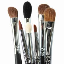 Vegan Makeup Brushes – Where Are They?