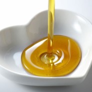 What is Canola Oil?