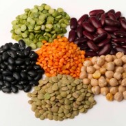 Vegan Protein Allergies and Constipation