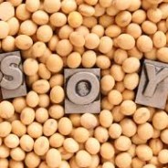 The Healing Power of Soy’s Isoflavones