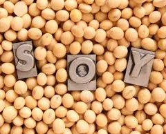 The Healing Power of Soy’s Isoflavones
