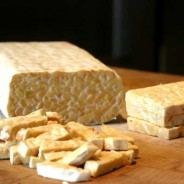 Tempeh
