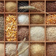 Are Whole Grains Healthy?