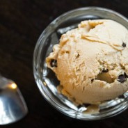 Very Vegan Chocolate Chip Ice Cream