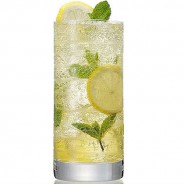 Lemon Mint Soda
