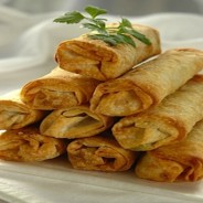 Tex-Mex Spring Rolls