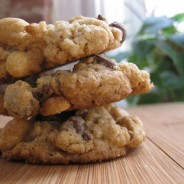Oatmeal Nut Butter Cookies